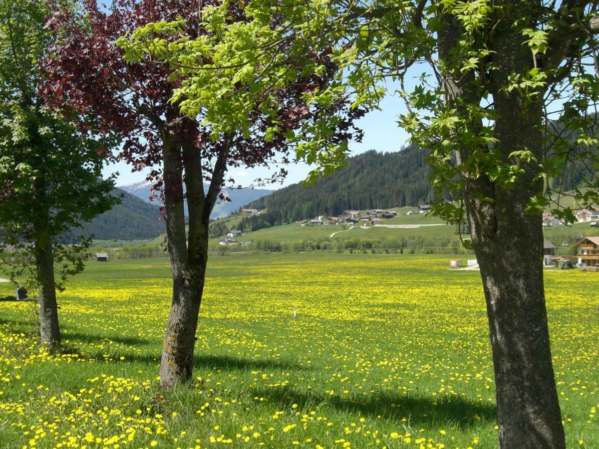 Faltnerhof Planca di Sopra Extérieur photo